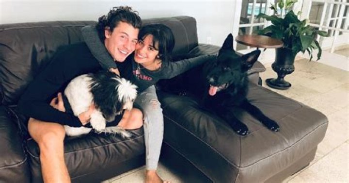 Did She Say Yes? Shawn Mendes and Camila Cabello Spark Engagement Rumors — Everything We Know