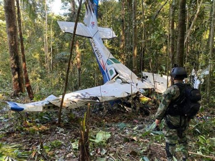 Kids Missing After Plane Crash Reportedly Found In The Amazon