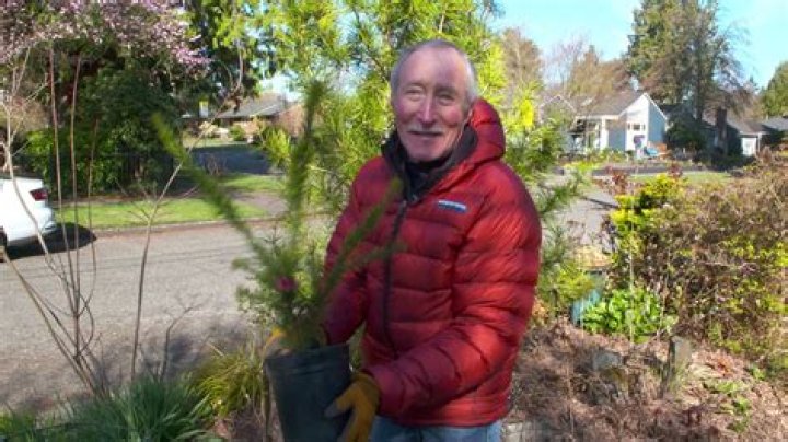 How Old Is Ciscoe Morris? Everything To Know About The Gardening Expert & TV Personality