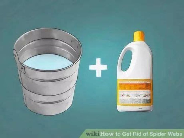 How to get rid of spider webs