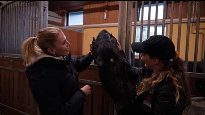 Jessica von Bredow-Werndl Biography, Age, Height, Husband, Net Worth, Family