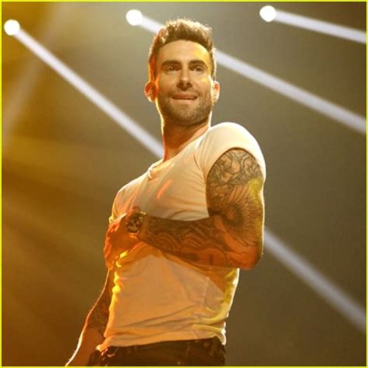 Adam Levine Won’t Be on ‘The Voice’ Next Season, But Blake Shelton’s Girlfriend Gwen Stefani Will!