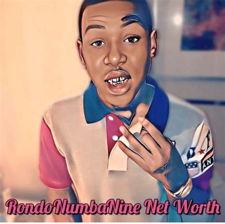 Rondonumbanine Net Worth, Income, Salary, Earnings, Biography