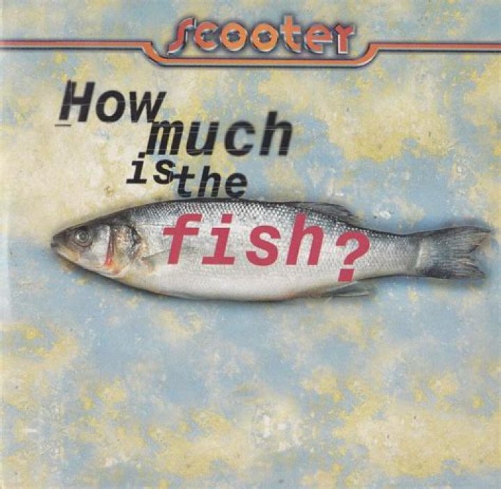 Scooter’s
How Much Is The Fish Lyrics