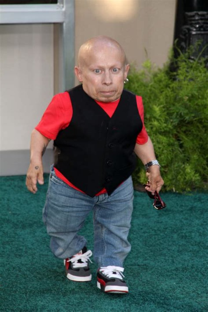 How tall was Verne Troyer