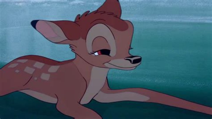 Was Bambi a deer? – Celebrity.fm – #1 Official Stars, Business & People Network, Wiki, Success story, Biography & Quotes