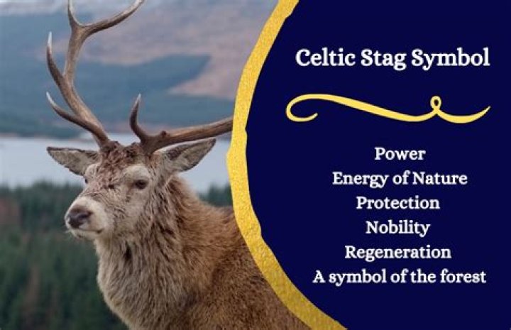 What is a stag a symbol of? – Celebrity.fm – #1 Official Stars, Business & People Network, Wiki, Success story, Biography & Quotes