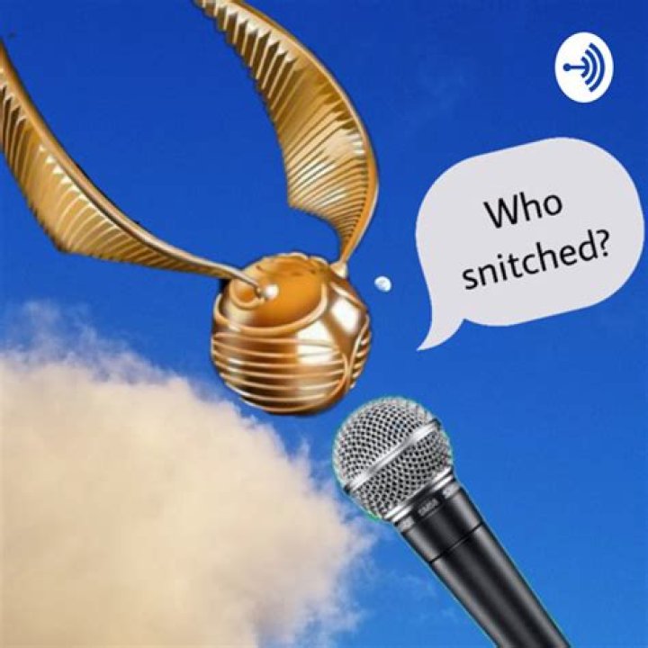 Who snitched on Damon Merrick?