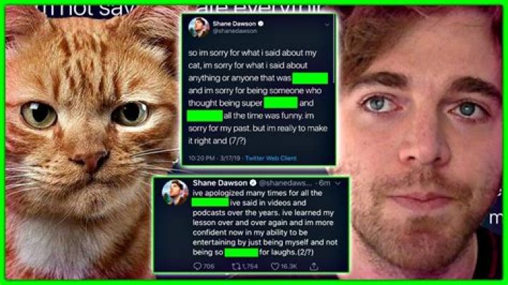Youtuber: Shane Dawson Drama On Reddit All About? Controversy Due To His Cat Explained!